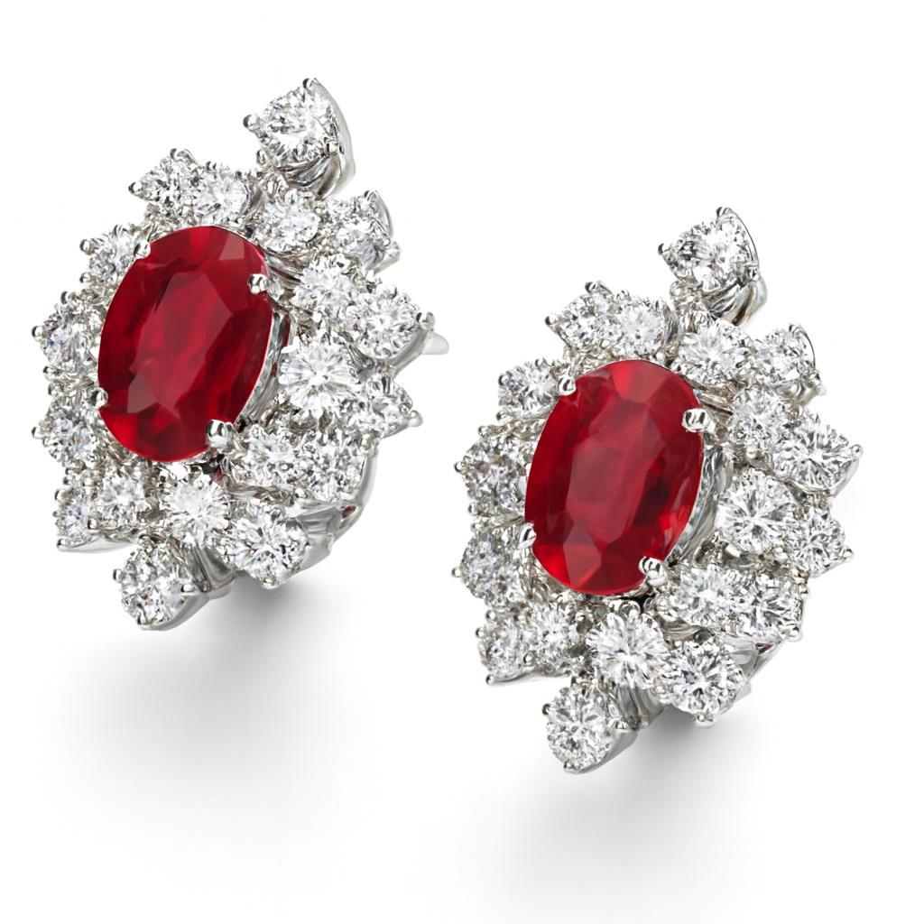 photo_2025-10-20_14-56-46 photo_2025-10-20_14-56-46