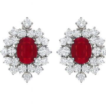 photo_2025-10-20_14-56-47